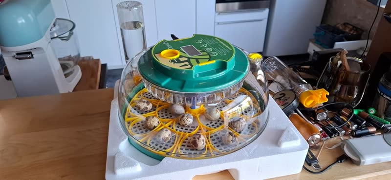 Customer photo of the DX5 incubator running