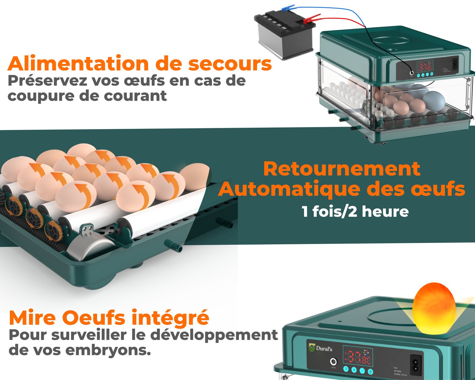 photo 3 ebook retournement des oeufs V2