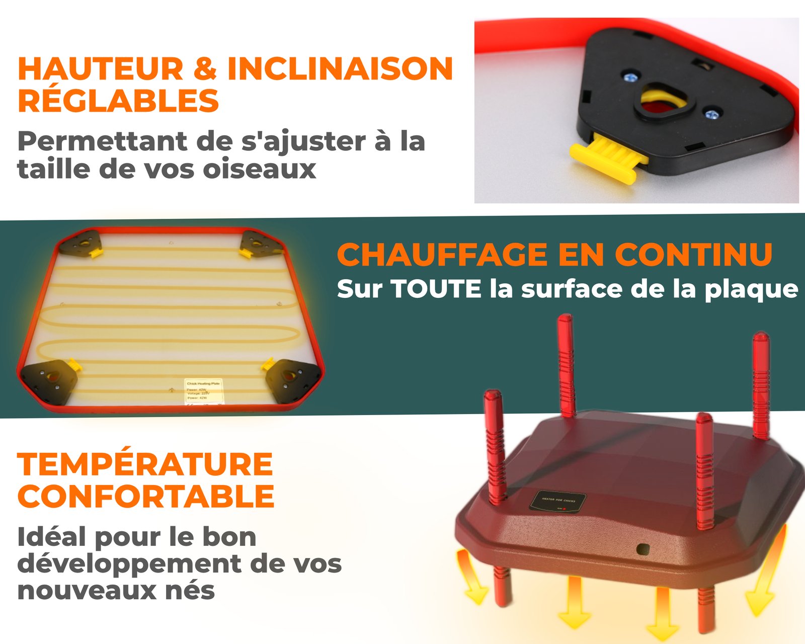 photo 2 variante