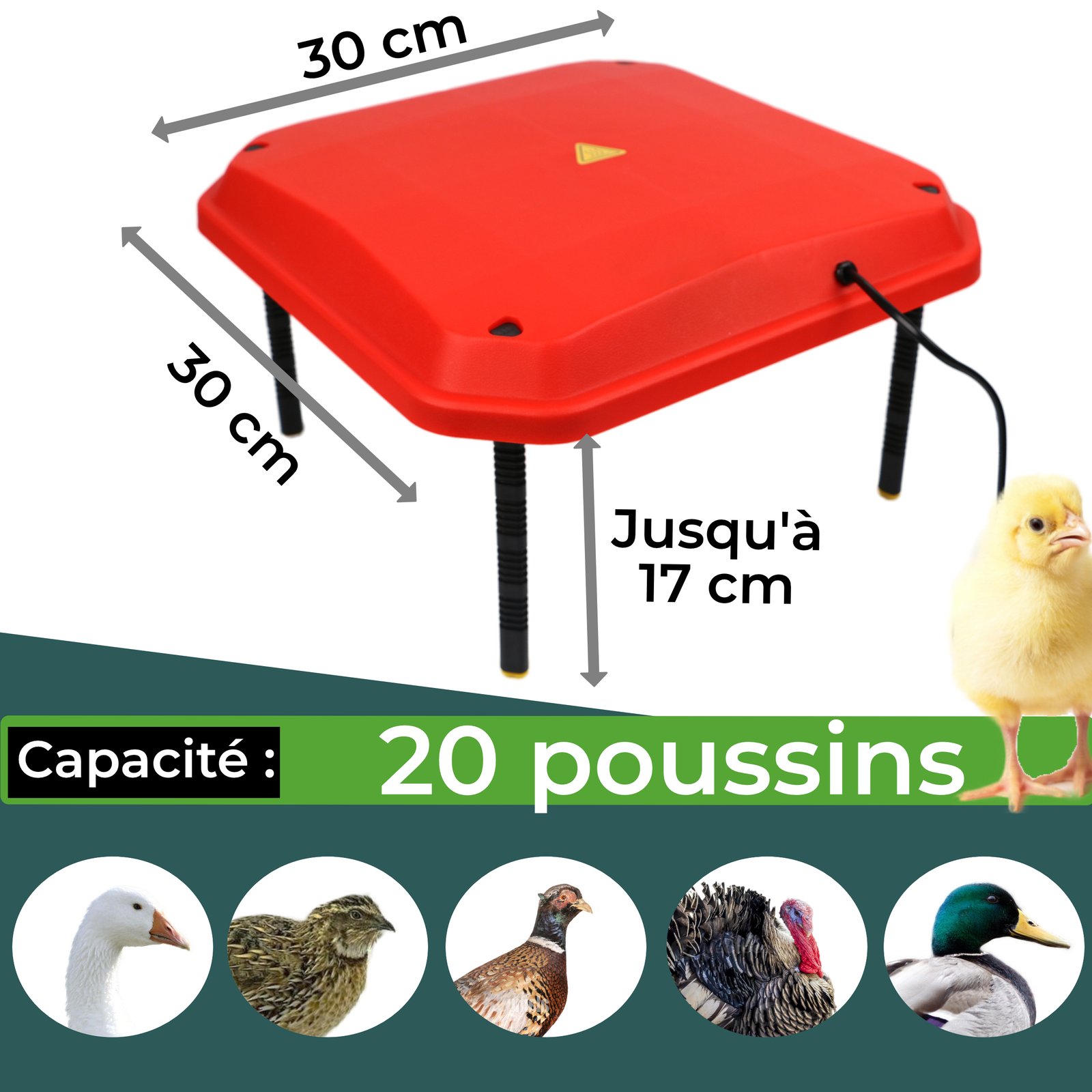photo 7 taille