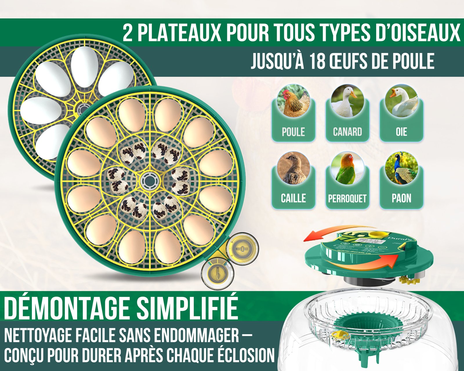 fr dx5 double tray