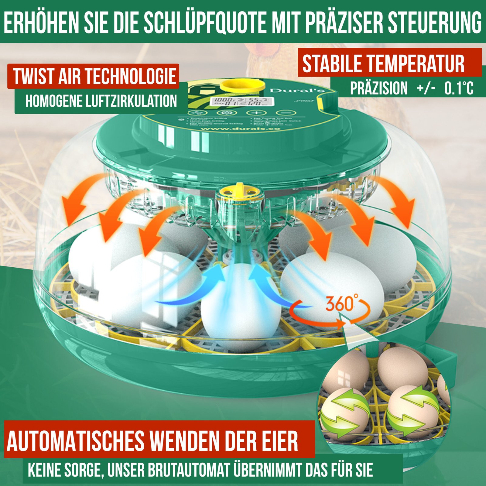 de image temperature