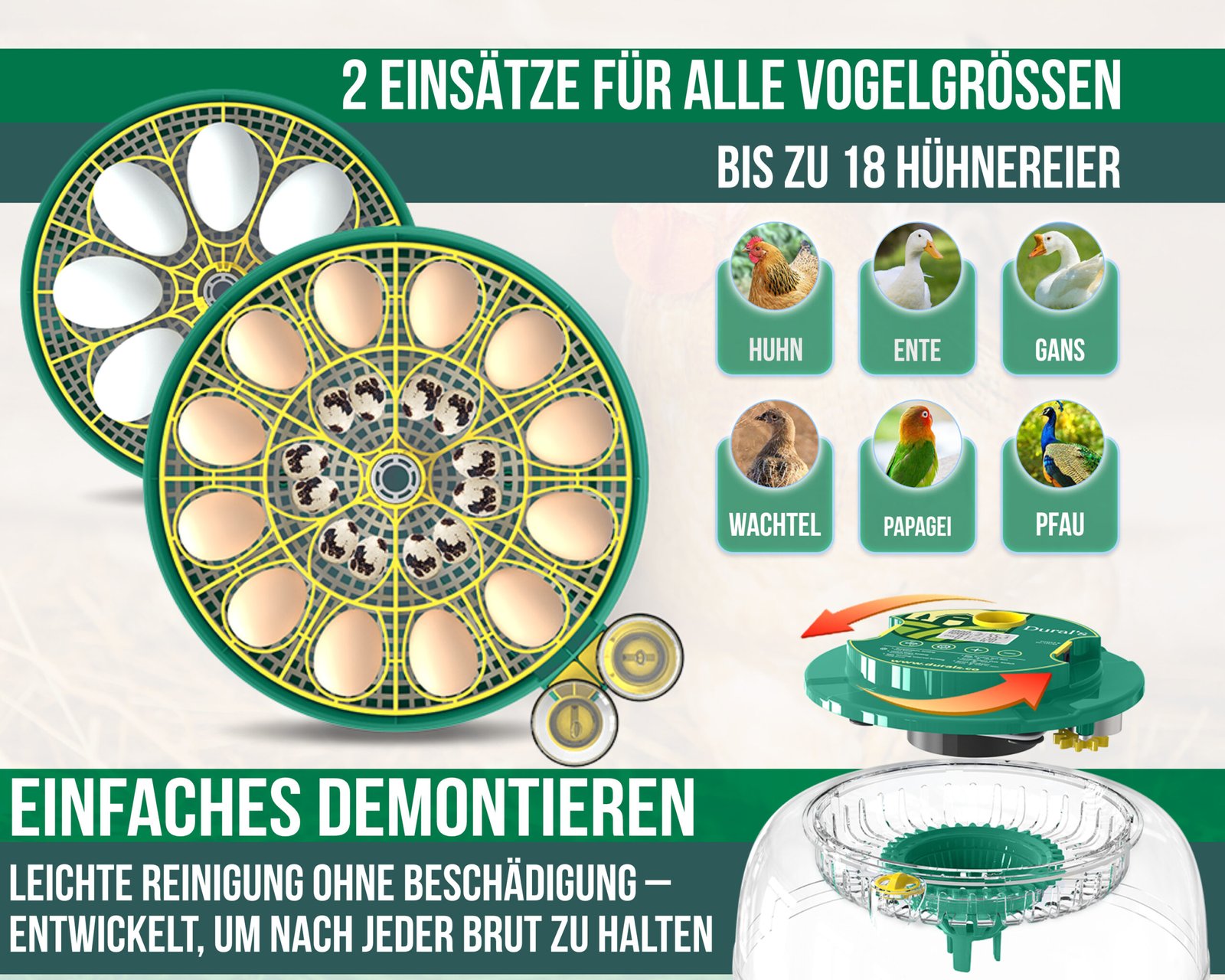 de dx5 double tray