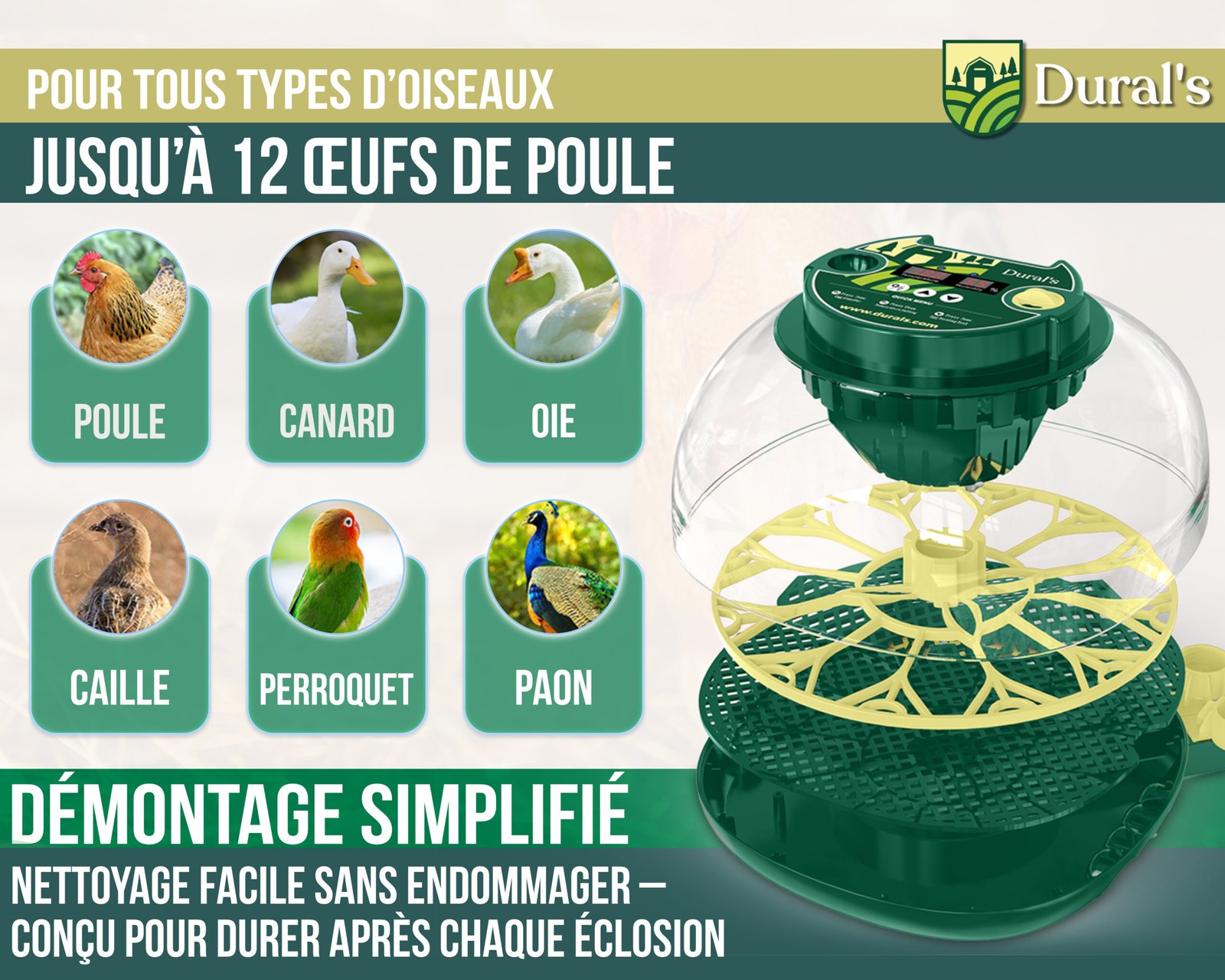 dx3 double tray